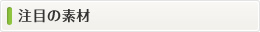 注目の素材